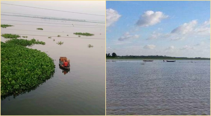 নওগাঁর জবই বিলের ৪ স্থানকে অভয়াশ্রম ঘোষণা, মাছ ধরা নিষিদ্ধ